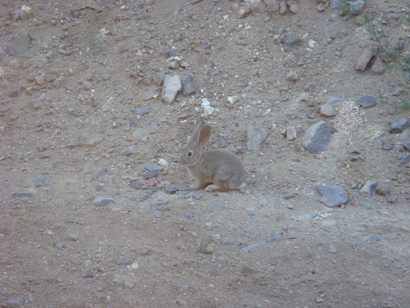 Growing Up and Moving Out