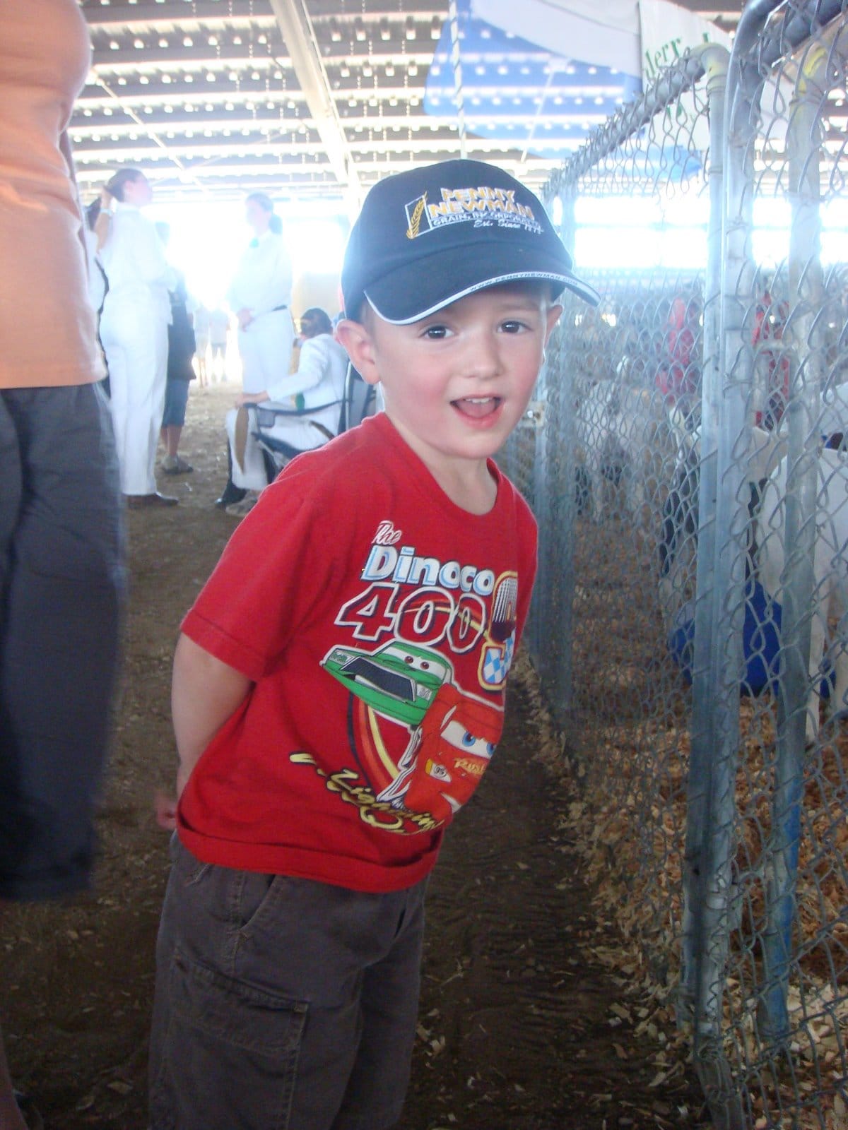 Goats, Roosters and Alligators, Oh My!