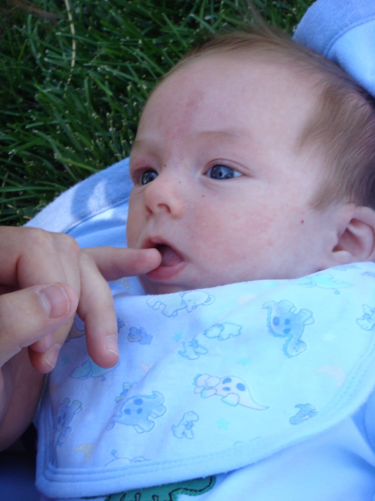 Staycation Day 4 -- Callahan Park and Thomas Creek, Reno, NV