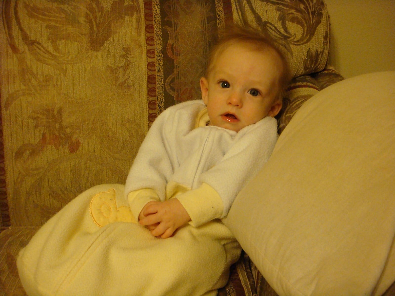 Tucker Relaxing At Home