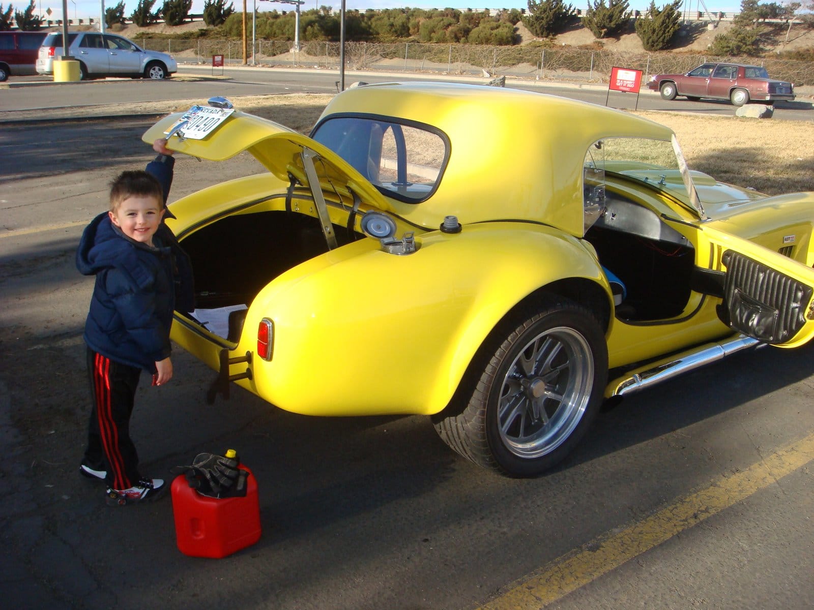 Our Capricious Cobra