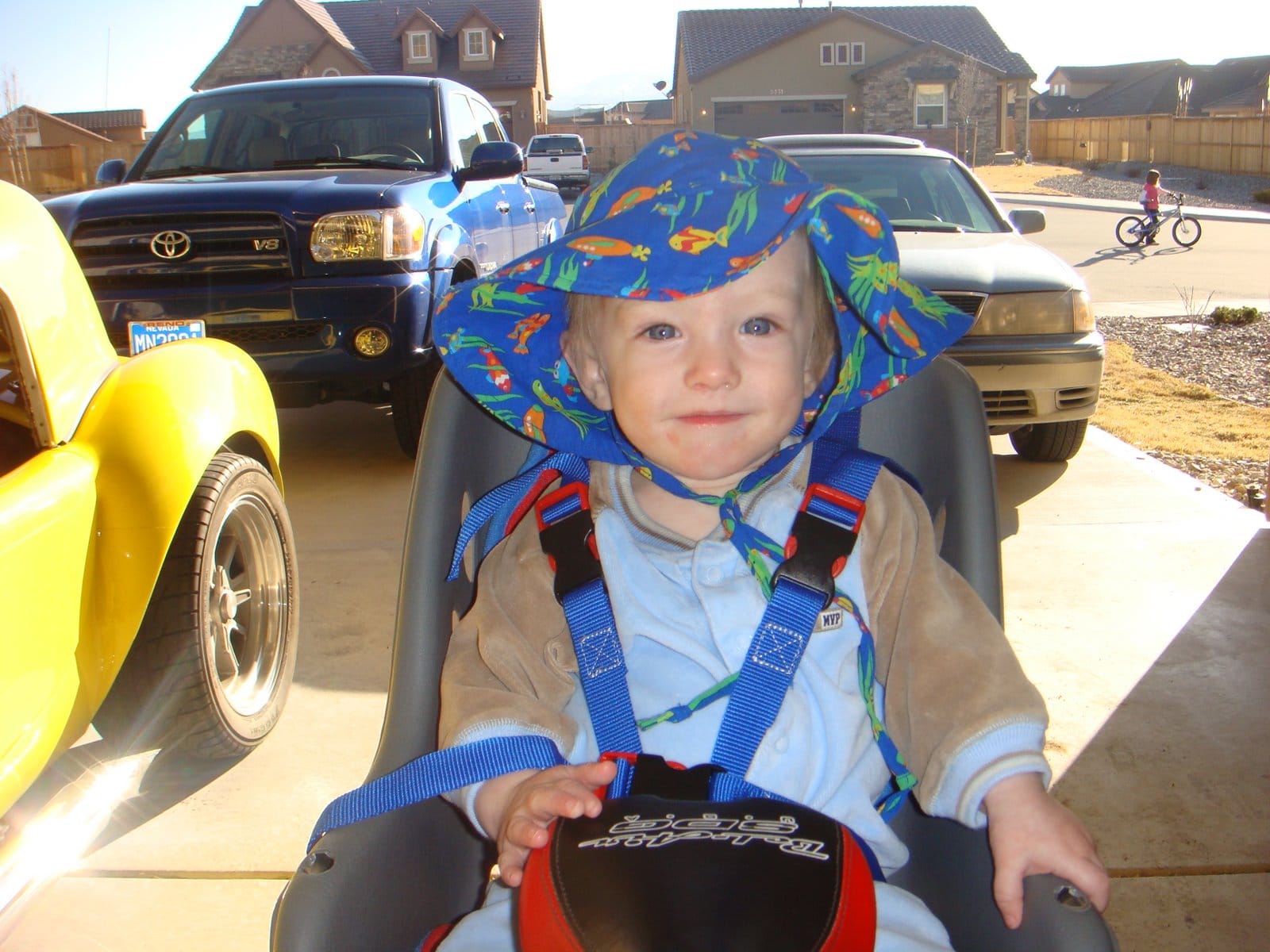 Tucker's Bicycle Seat