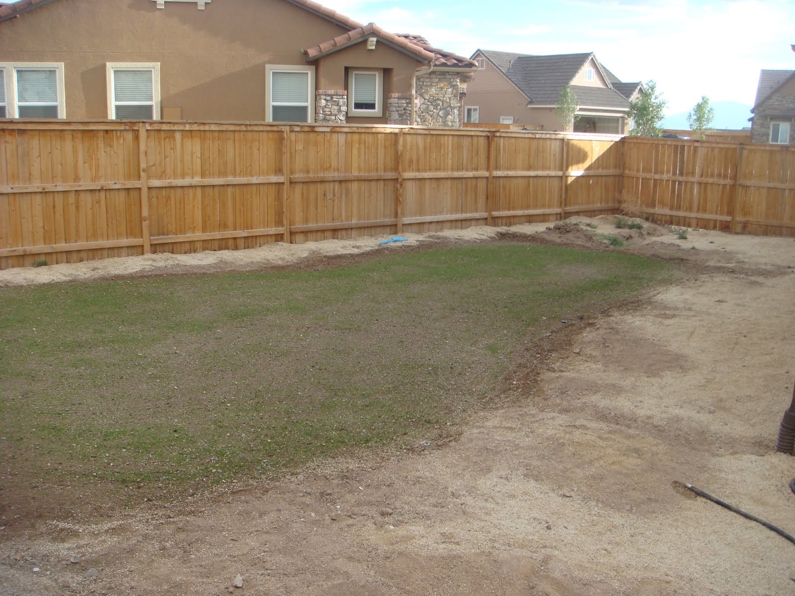 Backyard Lawn Growing