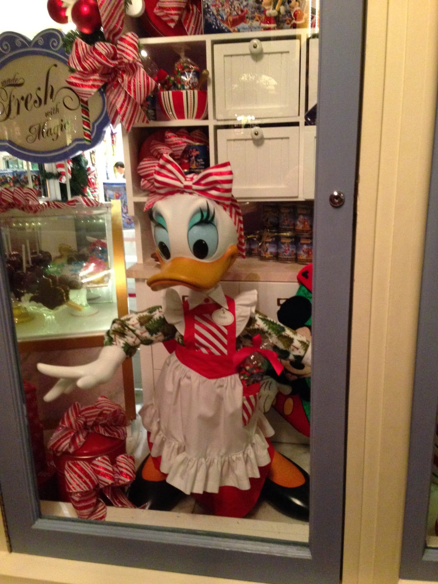 Disneyworld: Epcot and Magical Kingdom