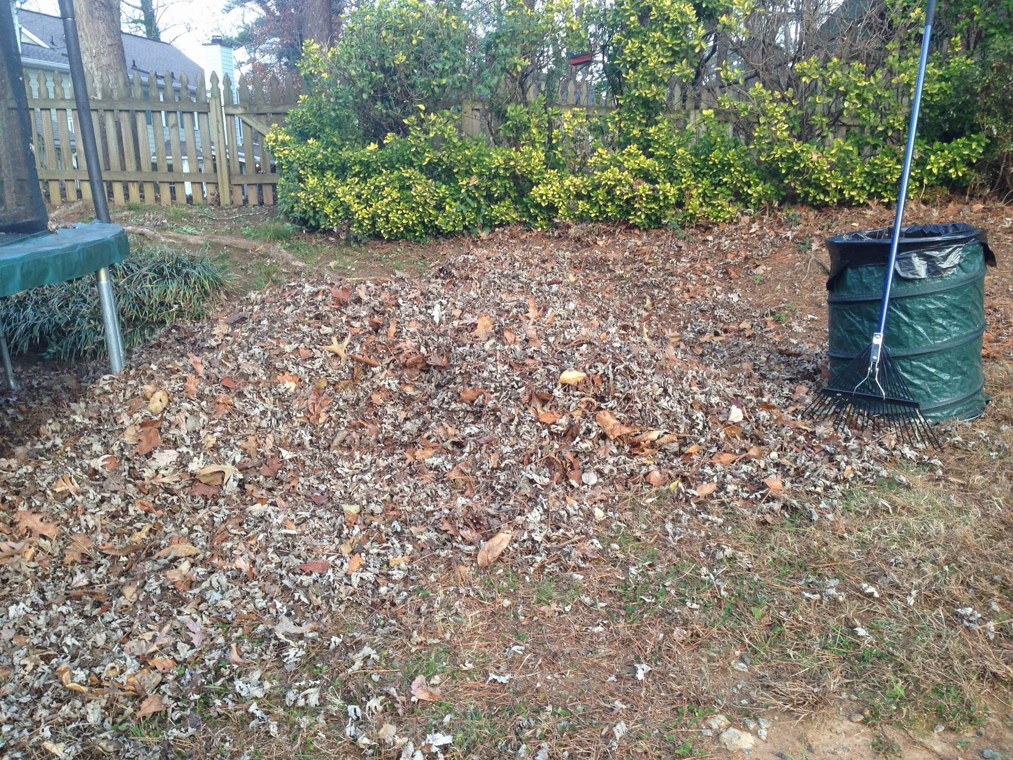 Fall Cleanup