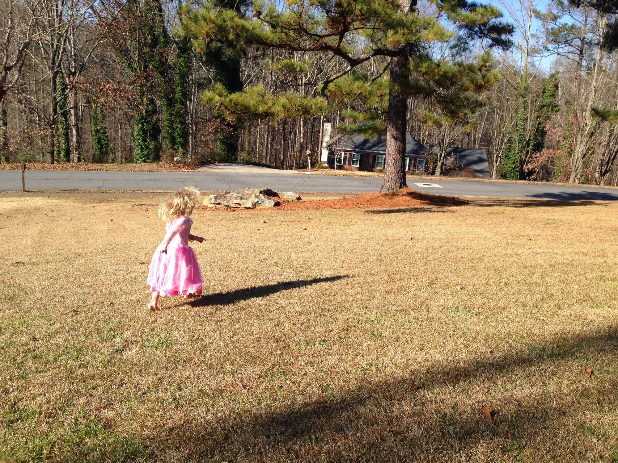 Princess Savannah in the Yard