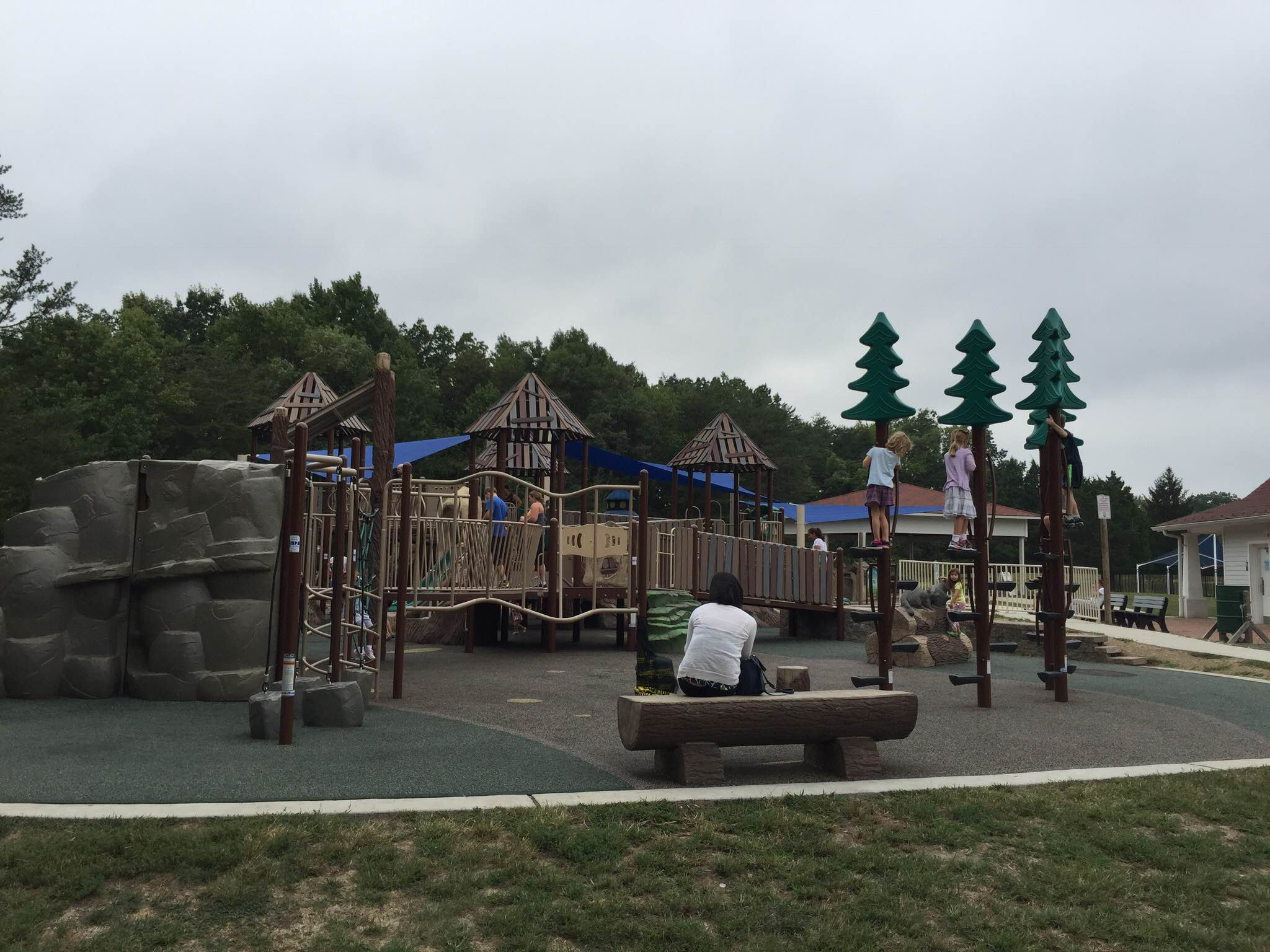 Savannah's Birthday Celebration