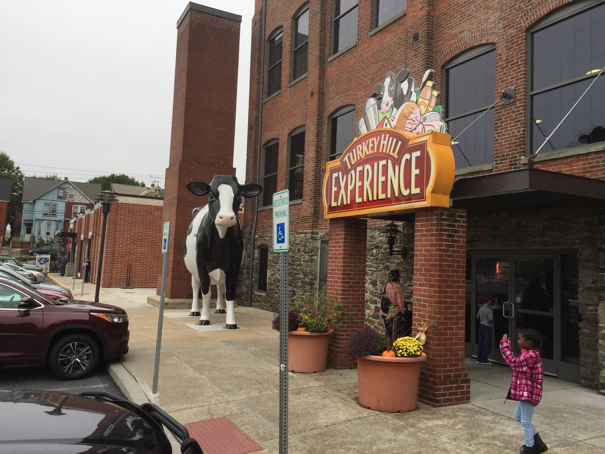 The Turkey Hill Experience