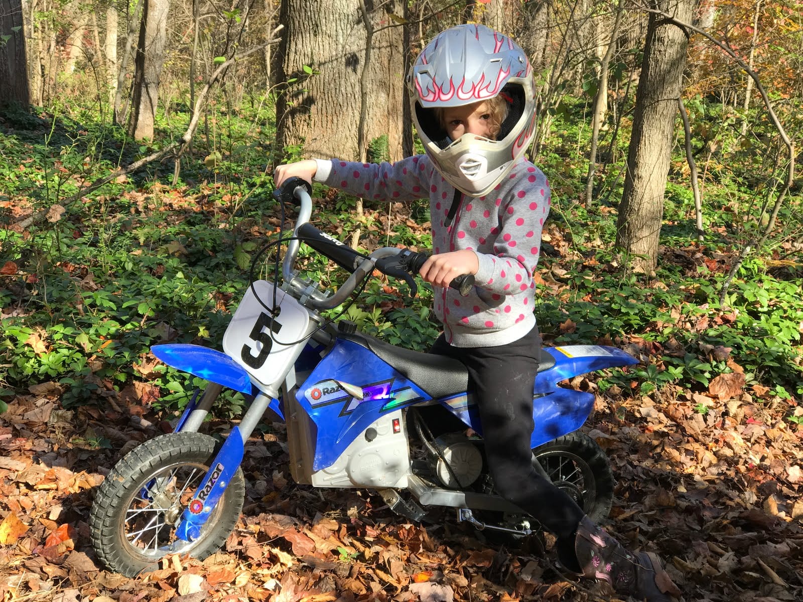 A Day in the Life of a Fairfax Family