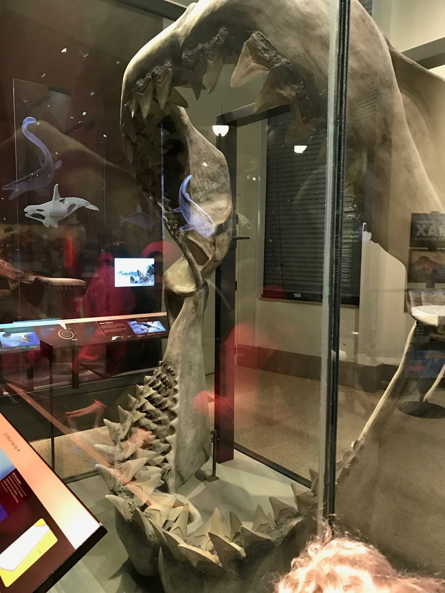 Museum of Natural History