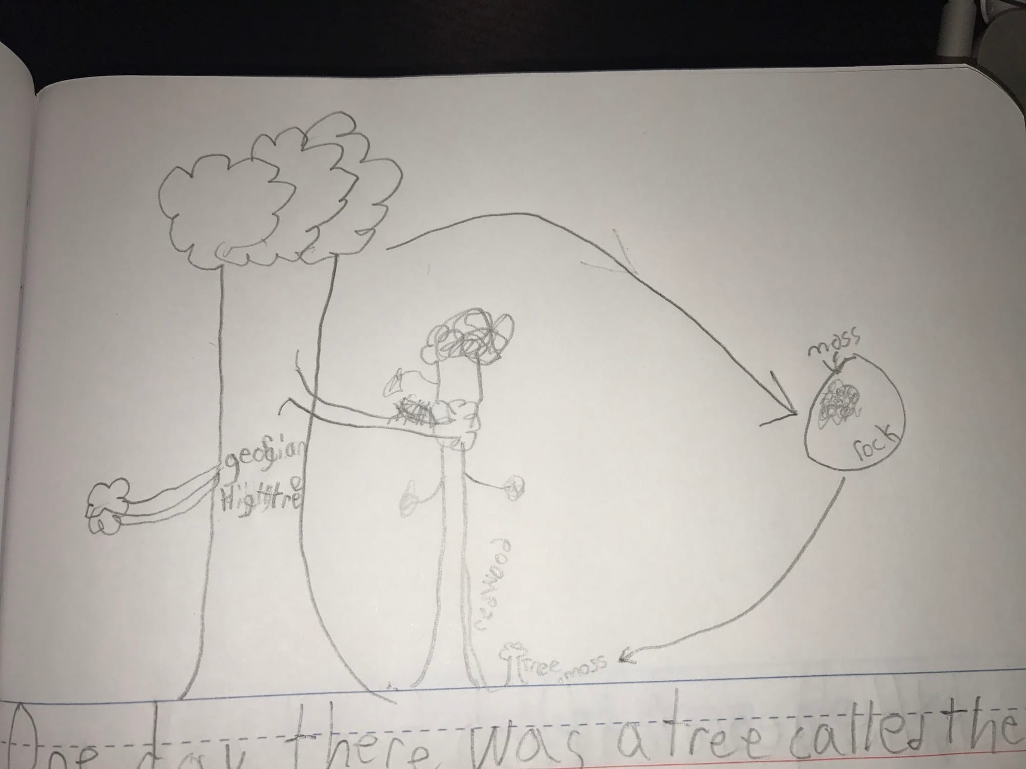 The Georgian Hightree by Tucker Knight