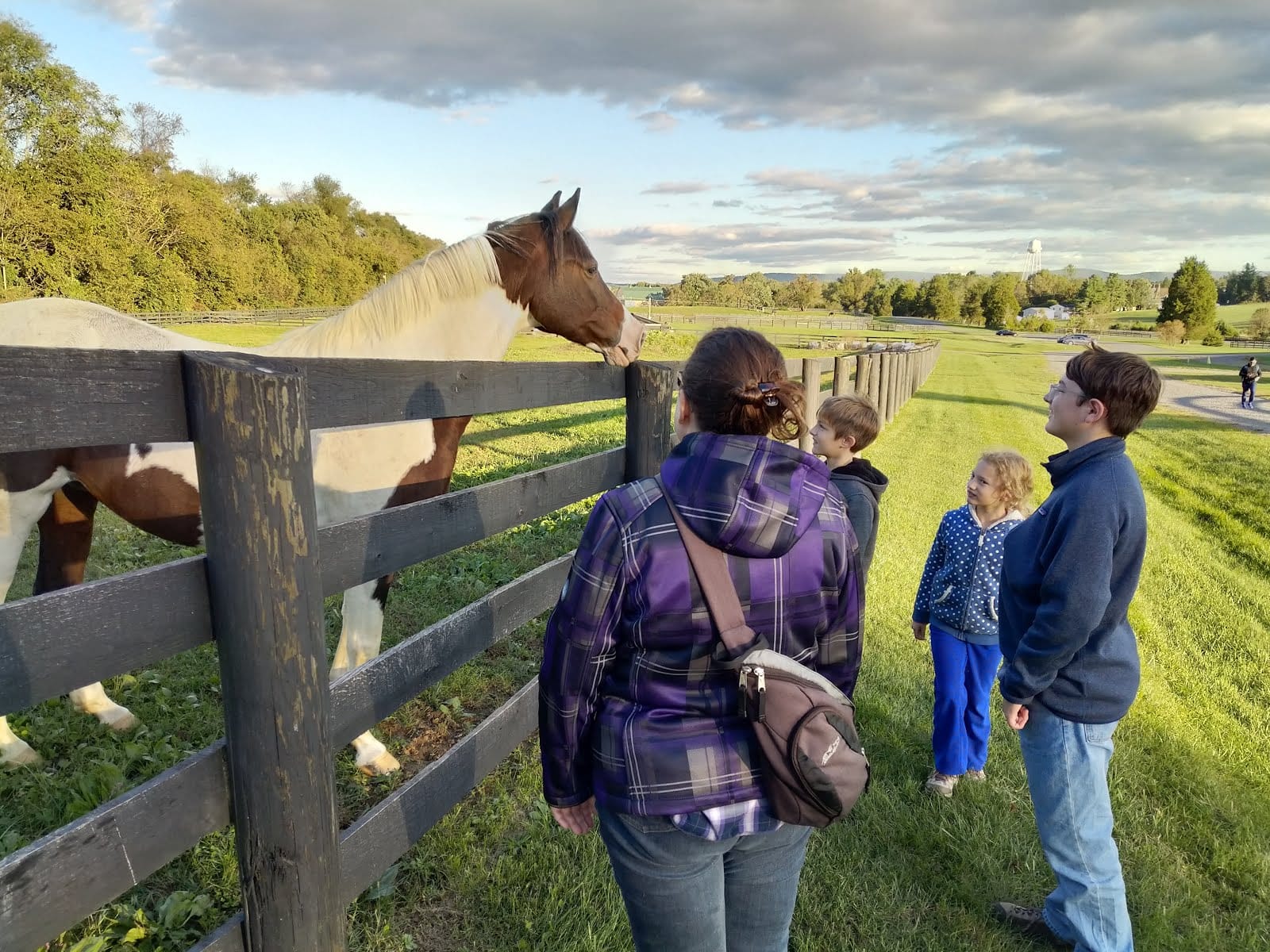 RockCreek Family Retreat - Salamander Resort