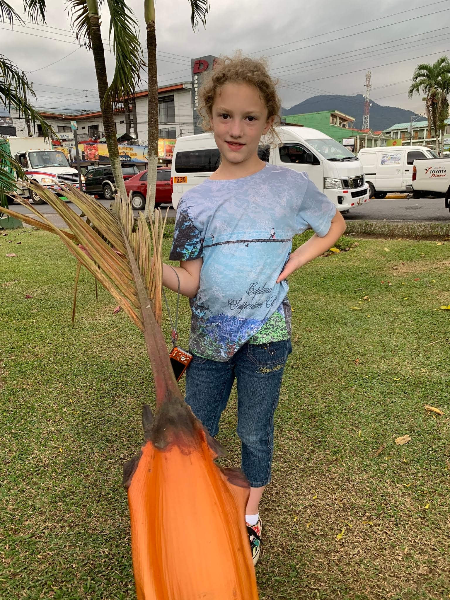 Going back to La Fortuna and Volcan Arenal