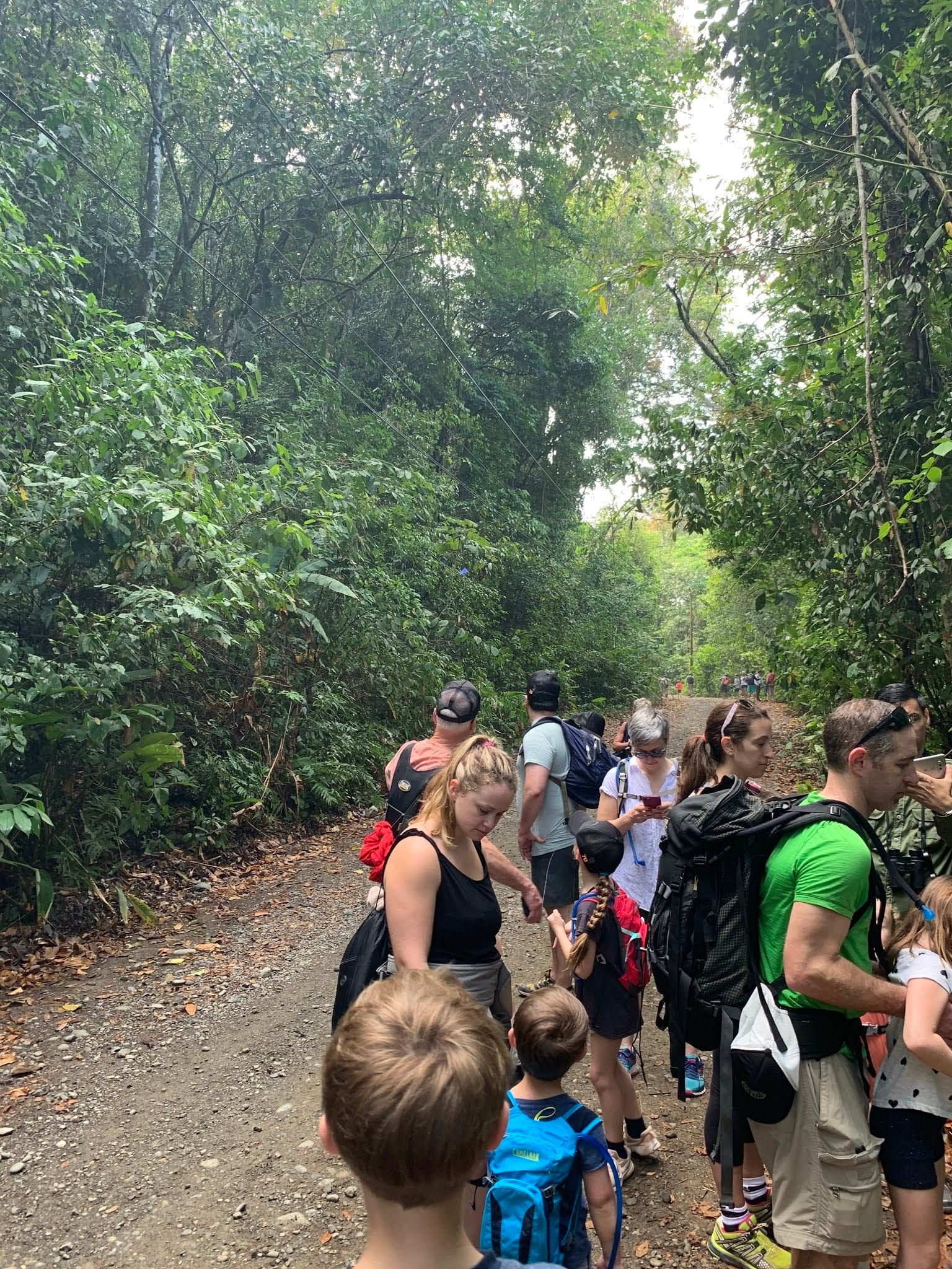 Manuel Antonio National Park, Quepos, Costa Rica