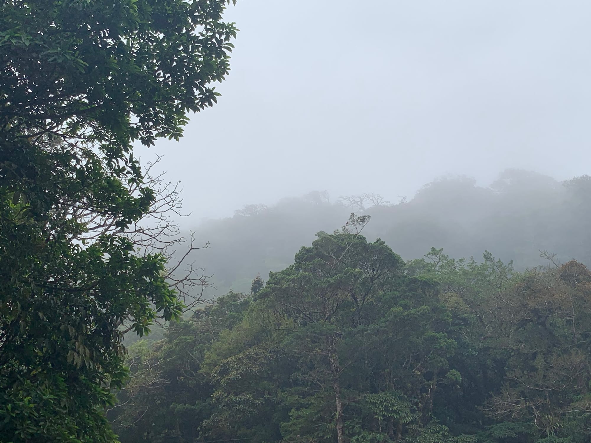 Monteverde Cloud Forest Preserve