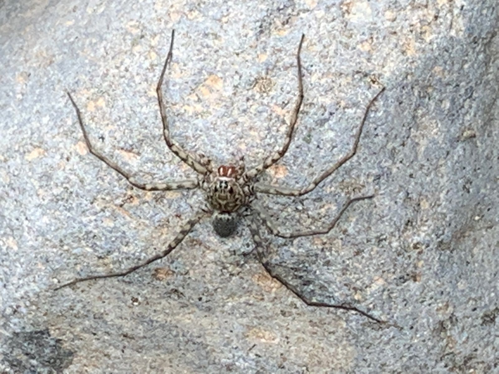 Swimming at the River