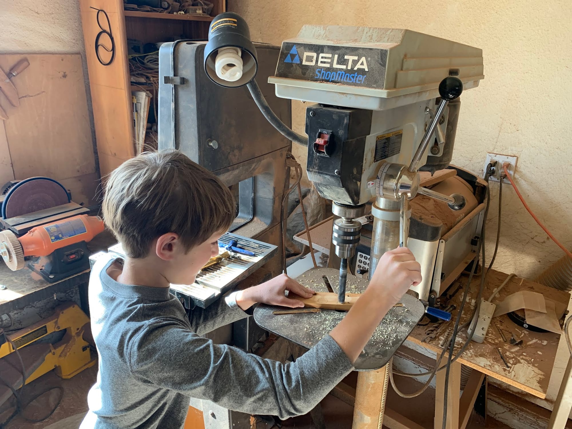 Girls' Pinewood Derby