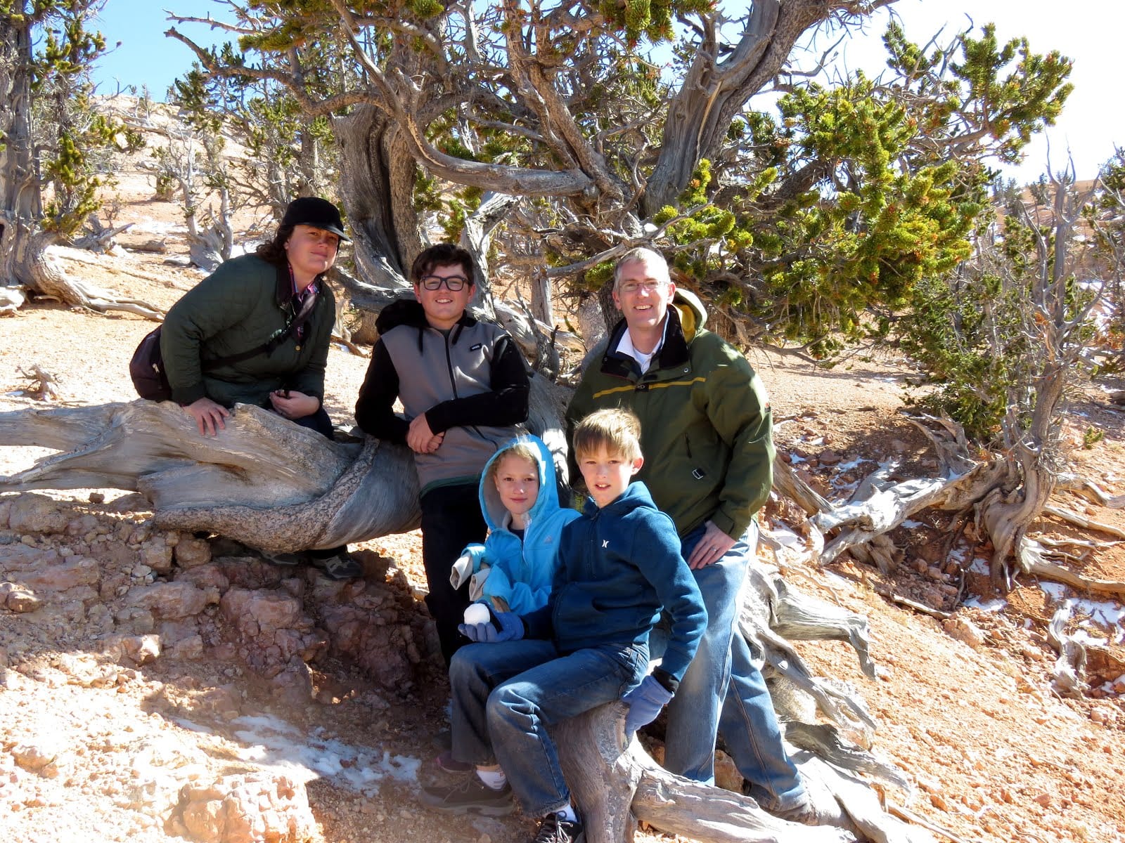 Twisted Forest Trail, Brian Head, UT