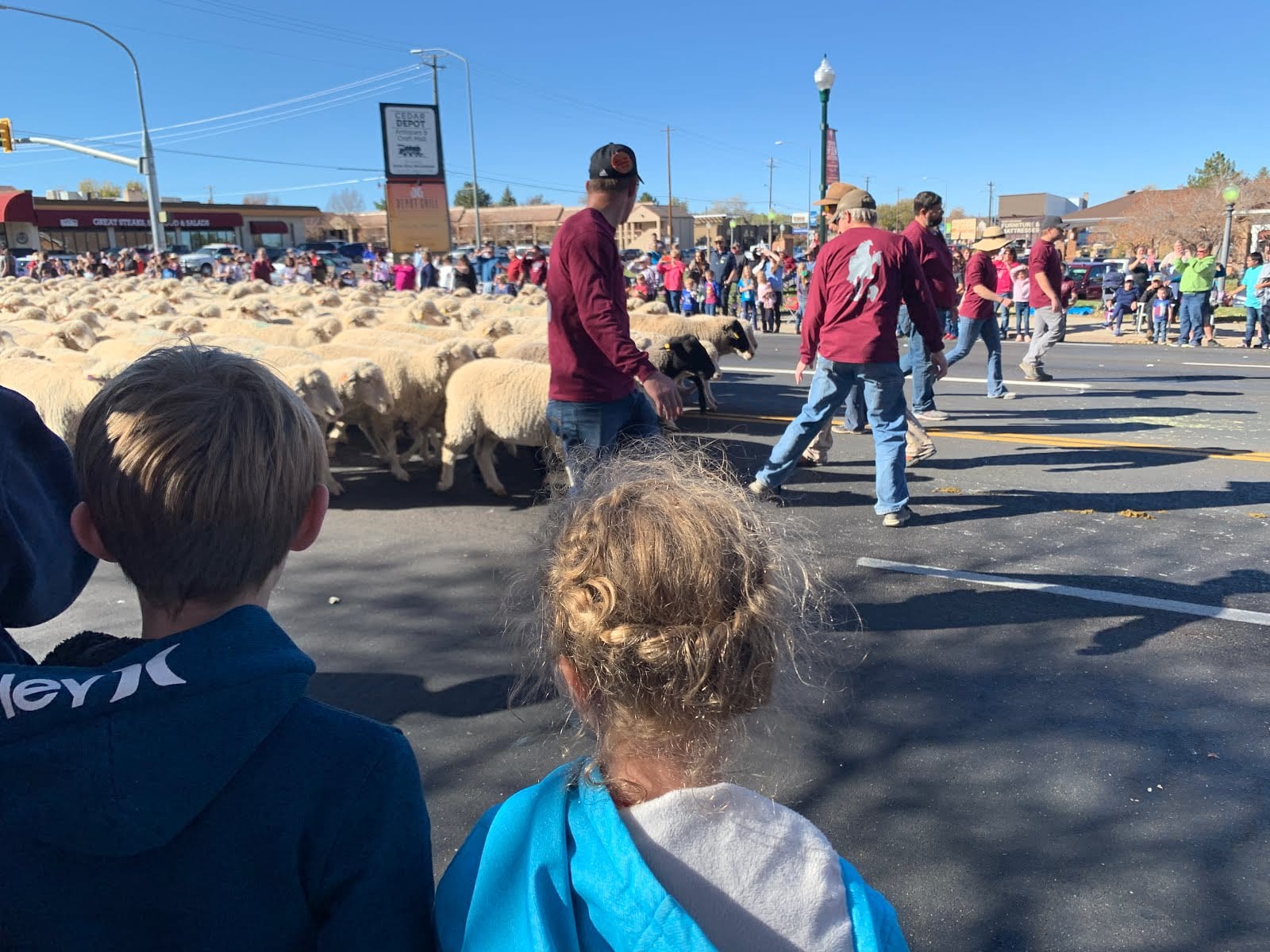Sheep Parade - Cedar City Livestock and Heritage Festival