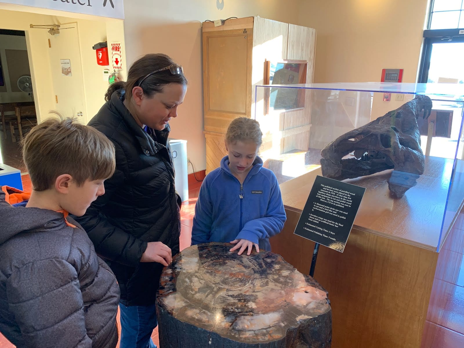 Petrified Forest National Park