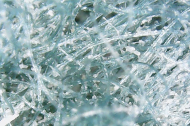 Carson's Microscope pictures