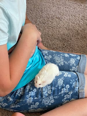 Savannah with Snowball