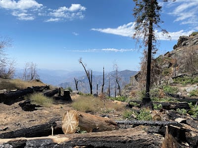 Sequoia National Park