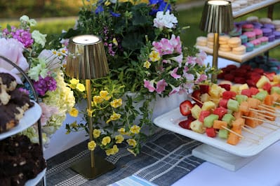 West of Home House Concert 2