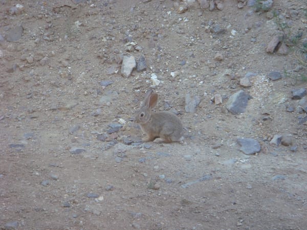 Growing Up and Moving Out