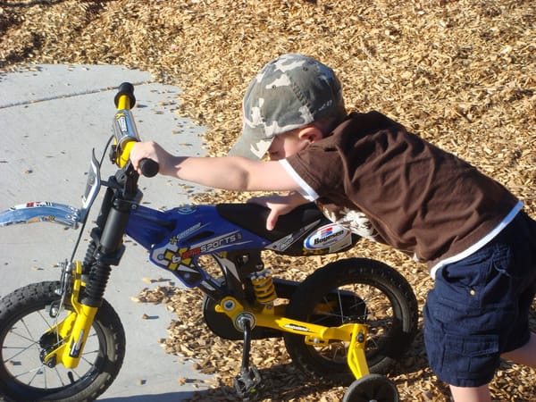 Family Night At The Park