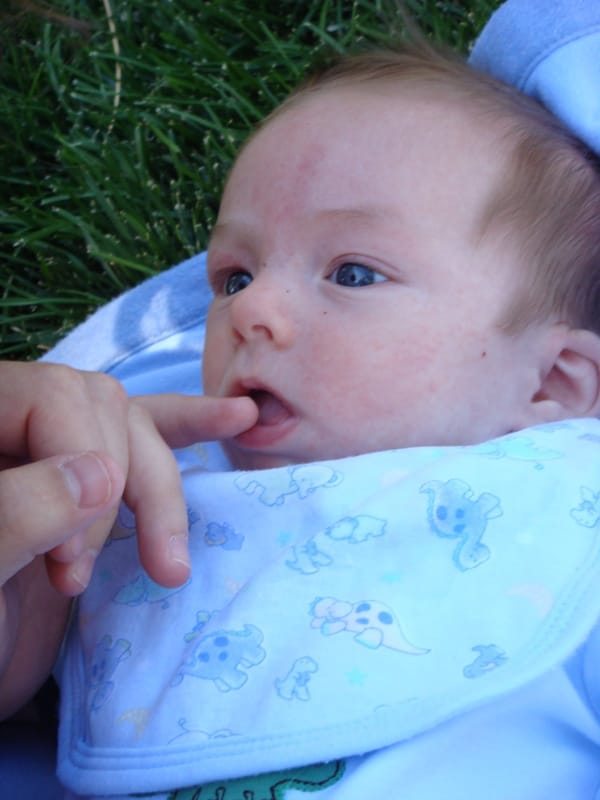 Staycation Day 4 -- Callahan Park and Thomas Creek, Reno, NV