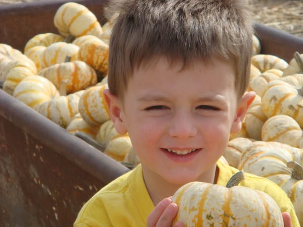 Farrari Farms Pumpkin Patch