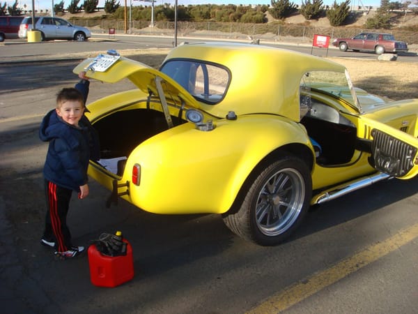 Our Capricious Cobra