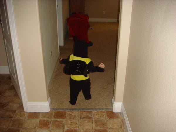 Two Little Bumblebees