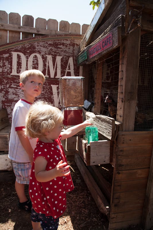 Swimming and Birthday cake!