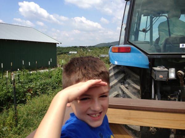 Exploring the Orchards in Ellijay, GA