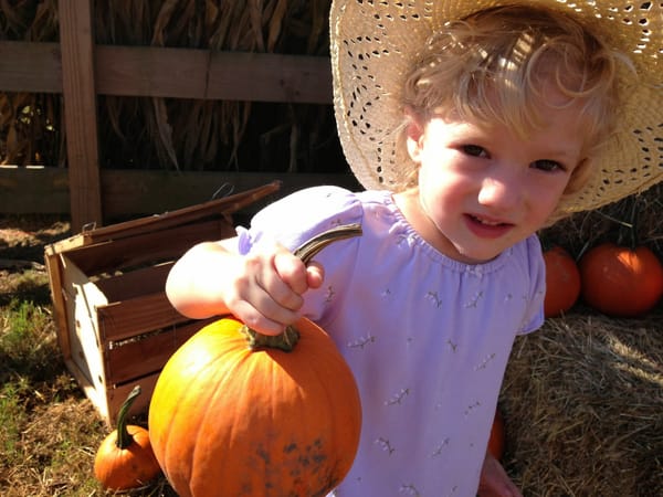 Cagle's Pumpkin Patch, Canton, GA