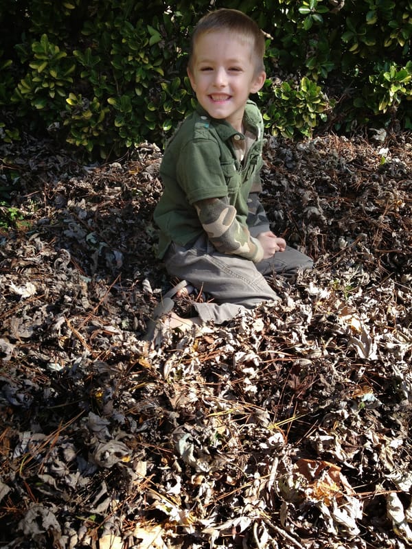 Playing in the backyard