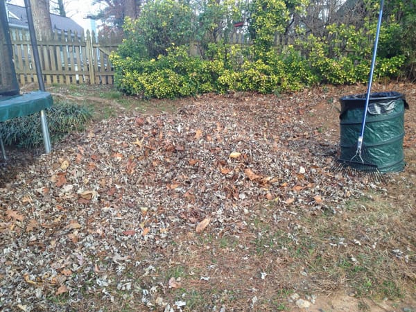 Fall Cleanup