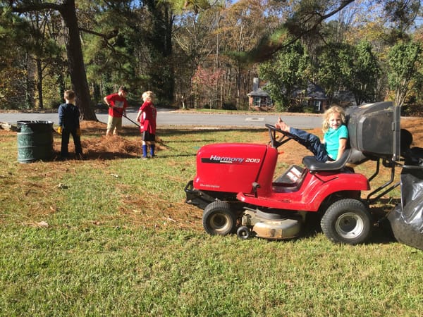 Lots and Lots of Yard Work