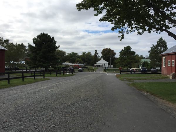 Frying Pan Farm Park Junior Farmer Class
