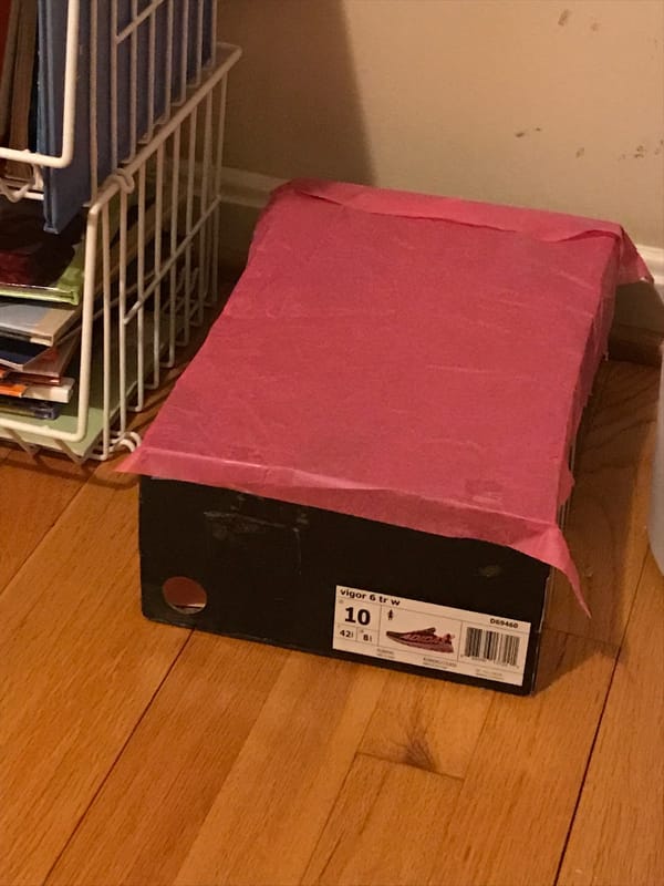 The kids do their own dioramas and stories