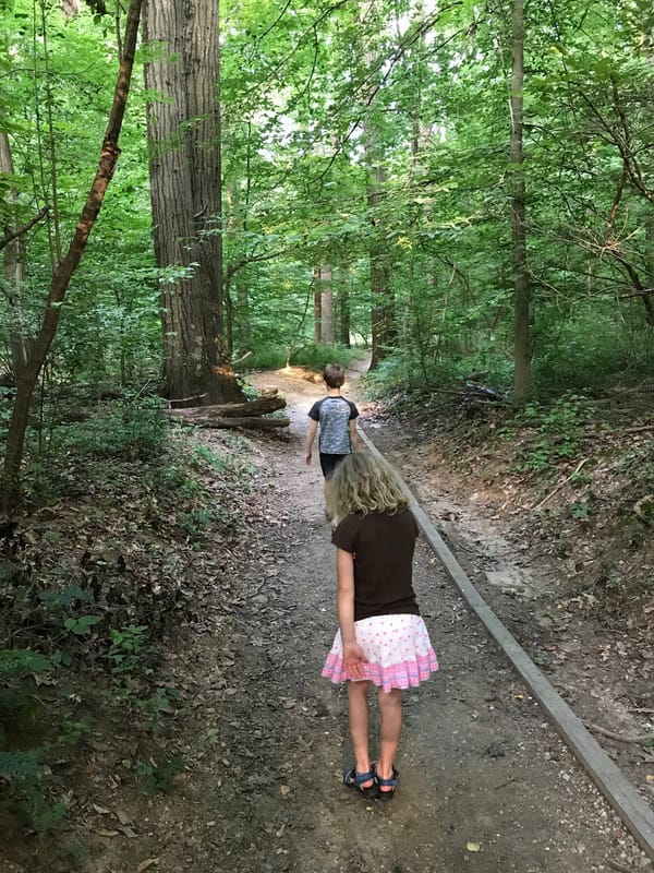 Exploring Rock Creek Park