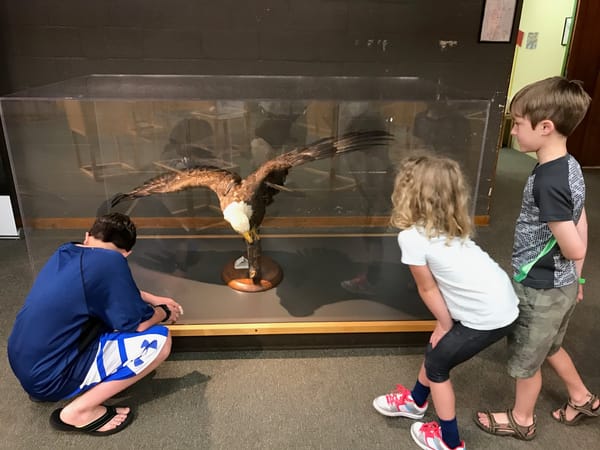 Rock Creek Park Nature Center and Planetarium