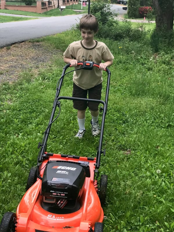 Echo 58v Electric Lawnmower