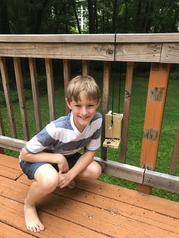 Tucker's Bird Feeder