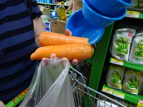 Carrots