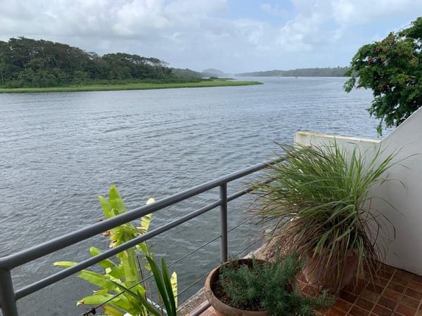 Tortuguero Adventures Guesthouse, Hotel on Turtugeuro Island