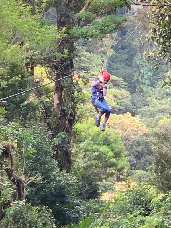 Selvatura Zipline