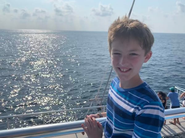 Whale-watching, Dolphin-watching cruise in Quepos